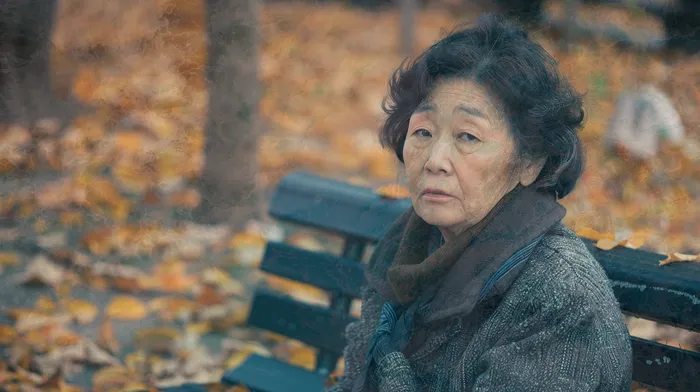 개인회생파산비용 싸고 분납이 가능하면서