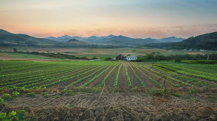 마이너스대출 연체 시